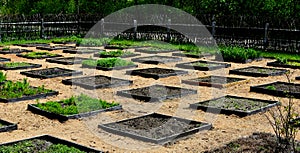 Square Foot Garden Plot photo