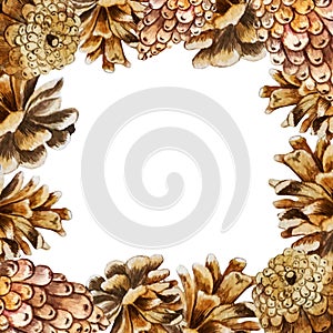 Square frame background with pine cones