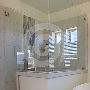 Square frame Bathtub and shower stall in front of windows with valance and blinds