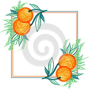 Square frame with beautiful delicate pattern Orange fruit line marker bright citrus food