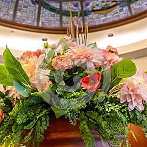 Square frame Beautiful potted colorful flowers with leaves under stained glass dome roof