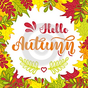 Square frame of colorful autumn leaves and hand written lettering Hello Autumn . Vector illustration for posters, cards