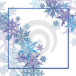 Square Frame Decorated with Snowflake Wreaths and Shadows.