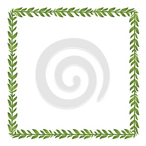 Square Frame green leaf vector flower frame wreath floral leaf foliage leaves botanical