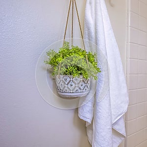 Square frame Home bathroom interior with towel and hanging plant beside the built in bathtub