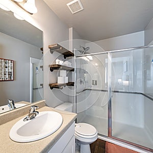Square frame Interior of a full bathroom with shelves and cabinet