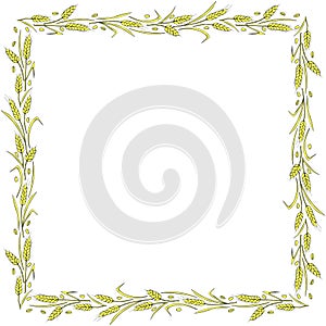 Square frame made of golden wheat or rye ears. Vector autumn border, backdrop hand drawn