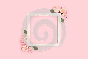 Square frame made of pose flowers and green leaves on a pink background.