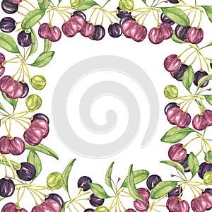 Square frame with maqui berries