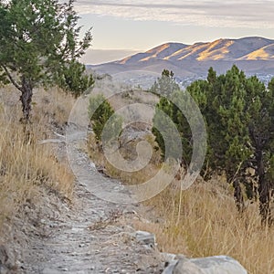 Square frame Meandering dirt hiking trail above the Utah Valley