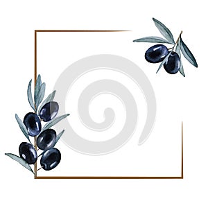 Square frame with olive branch. Black olives and leaves on a white background, isolated. Hand drawn watercolor. Copy space