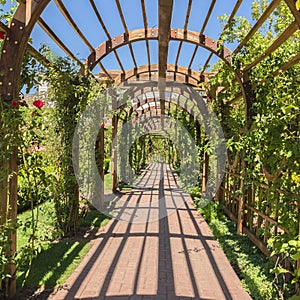 Square frame Stine brick pathway under a wooden arbor at a wedding venue on a sunny day