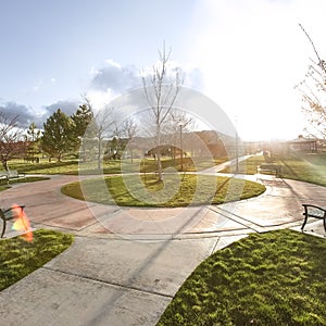 Square frame Vast park with pathways and trees on the grassy ground under the blazing sun