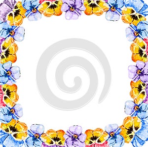 Square frame of watercolor blooming tricolor violet viola pansy flowers on a white background with copy space for text in the