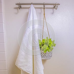 Square frame White towel and ornamental plant hanging on a wall rod inside a bathroom