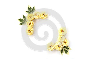 Square frame with yellow roses and green leaves isolated