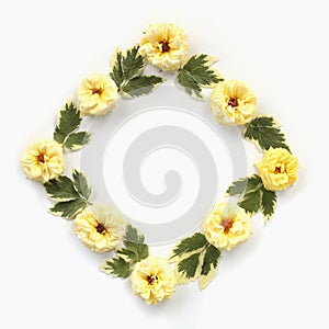 Square frame with yellow roses and green leaves isolated