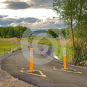 Square frame Yellow traffic delineator posts on a road with view of trees and mountain