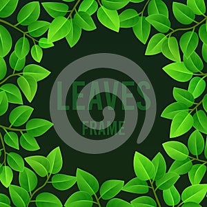 Square frame of young green leaves with an oval opening on a dark background. Vector illustration, design element