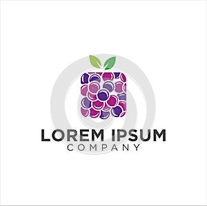 Square Grape Logo . grapes box shape logo application, Icon, Sign and Illusration Template Vector Design