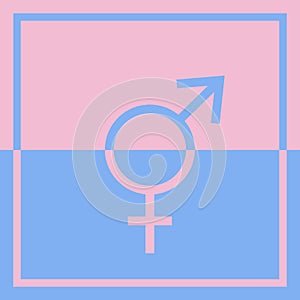 A square graphic illustration of joined blue and pink male and female symbols to show gender equality