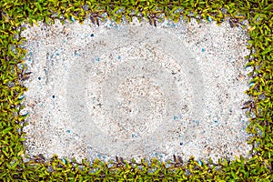 Square grass frame with copy-space on sand background