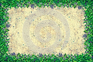 Square grass frame with copy-space on sand background