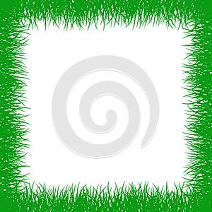 Square grass frame isolated. Vector illustration