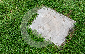 Square gray cement background texture on grass