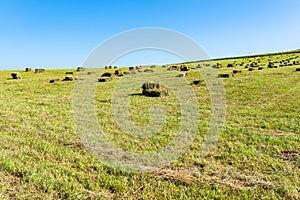 Square hay bales on green meadow