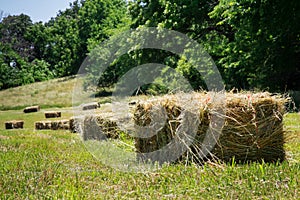 Square Hay Bales