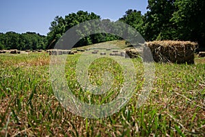 Square Hay Bales