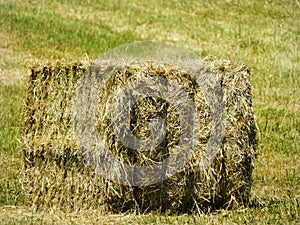 Square haybale harvested and ready for farm pick up