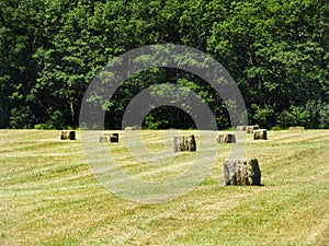 Square haybales wrapped and ready for barn storage