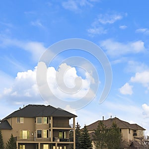 Square Homes and coniferous trees under blue sky with puffy clouds in winter