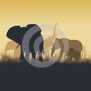 Square illustration of wild animals in sunset savanna.