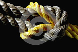 Square Knot