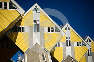 Square living buildings in Rotterdam