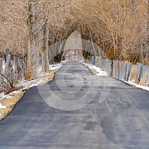 Square Long paved road in the snowy forest lined with trees and fence viewed in winter