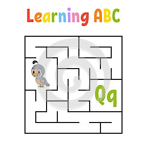 Square maze. Game for kids. Quail bird. Quadrate labyrinth. Education worksheet. Activity page. Learning English alphabet. Cartoon