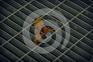 Square metal hatch in urban pavement, sewer manhole cover with marking lines and leaf inside