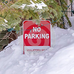Square No Parking sign half buried in fresh snow beside a tree with string lights
