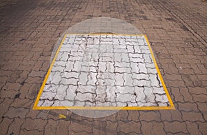 Square Painted on Brick Worm