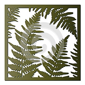 Square pano with fern leaves. File for cutting and decoration