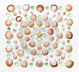 Square pattern made of shells, starfish and green glass pebbles on white background