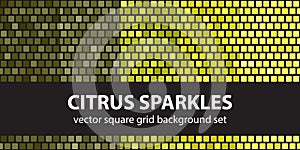 Square pattern set Citrus Sparkles. Vector seamless tile backgrounds