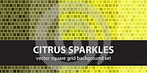 Square pattern set Citrus Sparkles. Vector seamless tile
