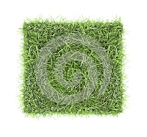 Square piece of green grass field top view isolated