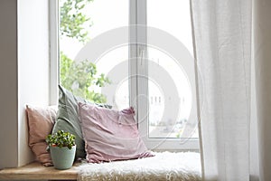 Square pillows, plaid and plant at the window