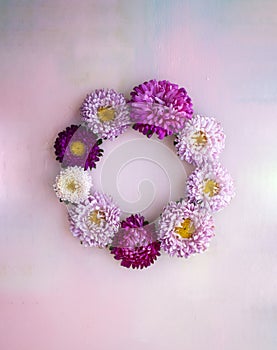 Square pink wooden banner with aster flowers lying in a wreath. Place for text